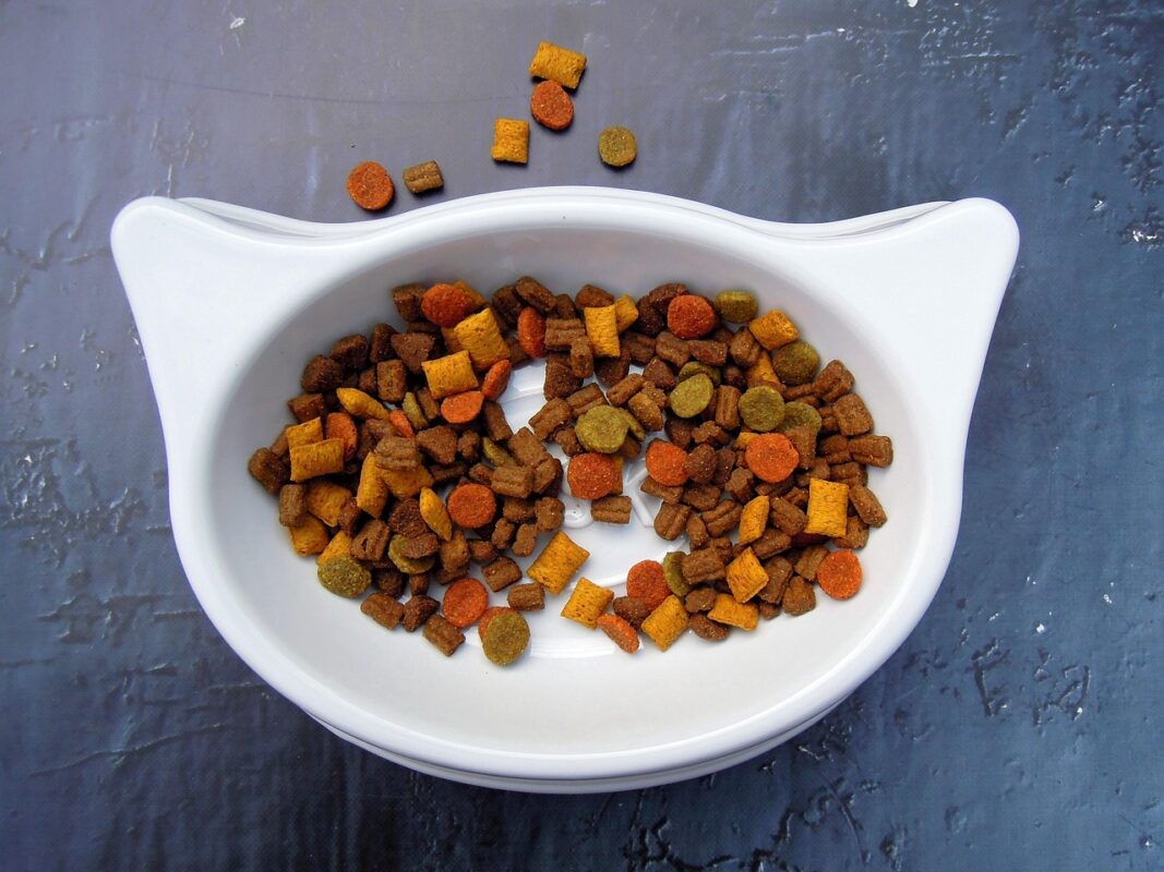 Ceramic, steel or plastic bowls