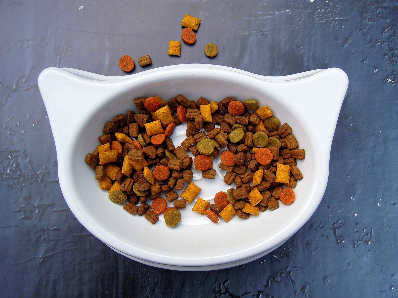 Ceramic, steel or plastic bowls