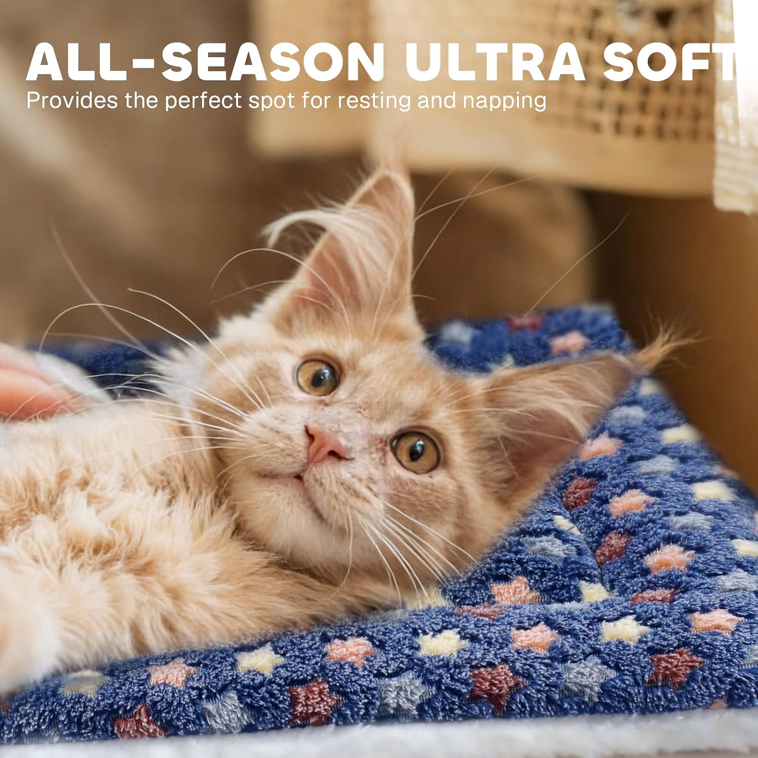 Crate Mat — 14 × 17.5 in, Ultra Soft, Star Print, Blue