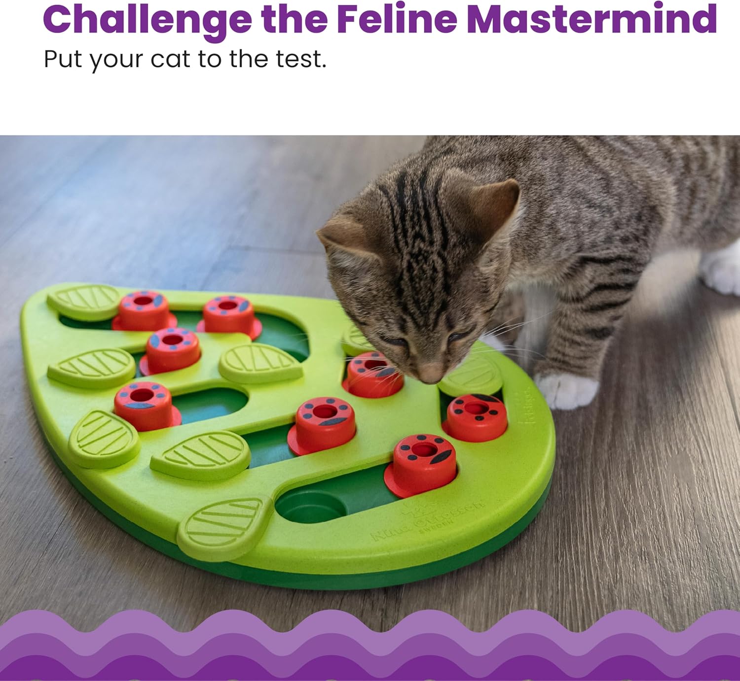 Puzzle Treat Toy for Cats — 14 in, Intermediate Level