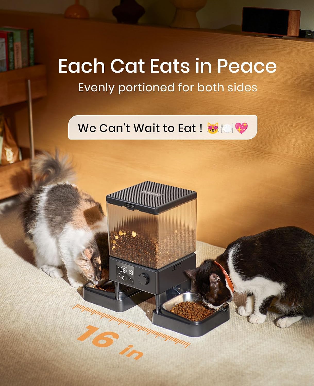 Automatic Feeder for Two Cats — 5 L, Timed, Split Bowls