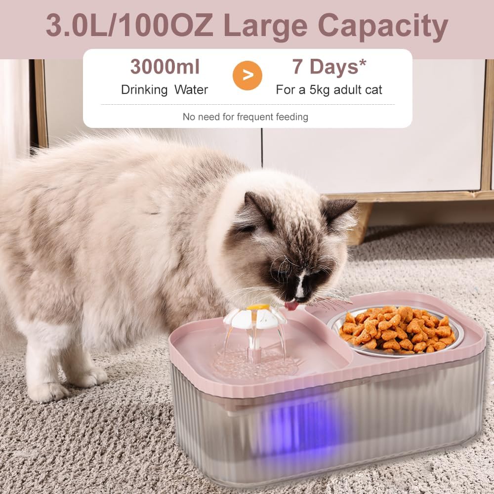 Water Fountain with Steel Food Bowl — 3 L, Quiet Pump