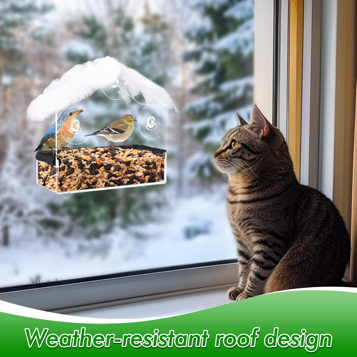 Window Bird Feeder with Suction Cups — Small, Clear