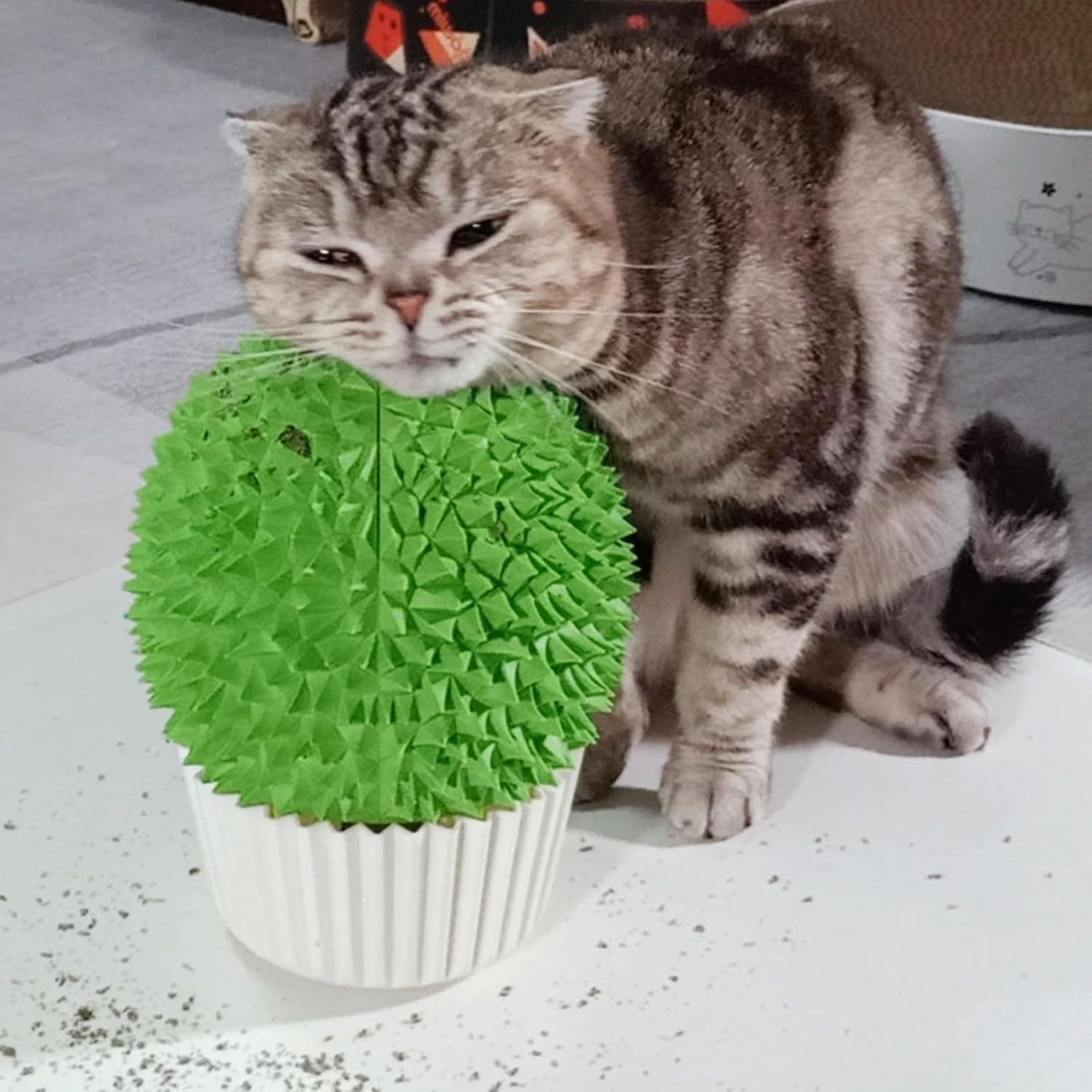 Wall-Corner Self-Grooming Brush — Cat Face Form, with Catnip