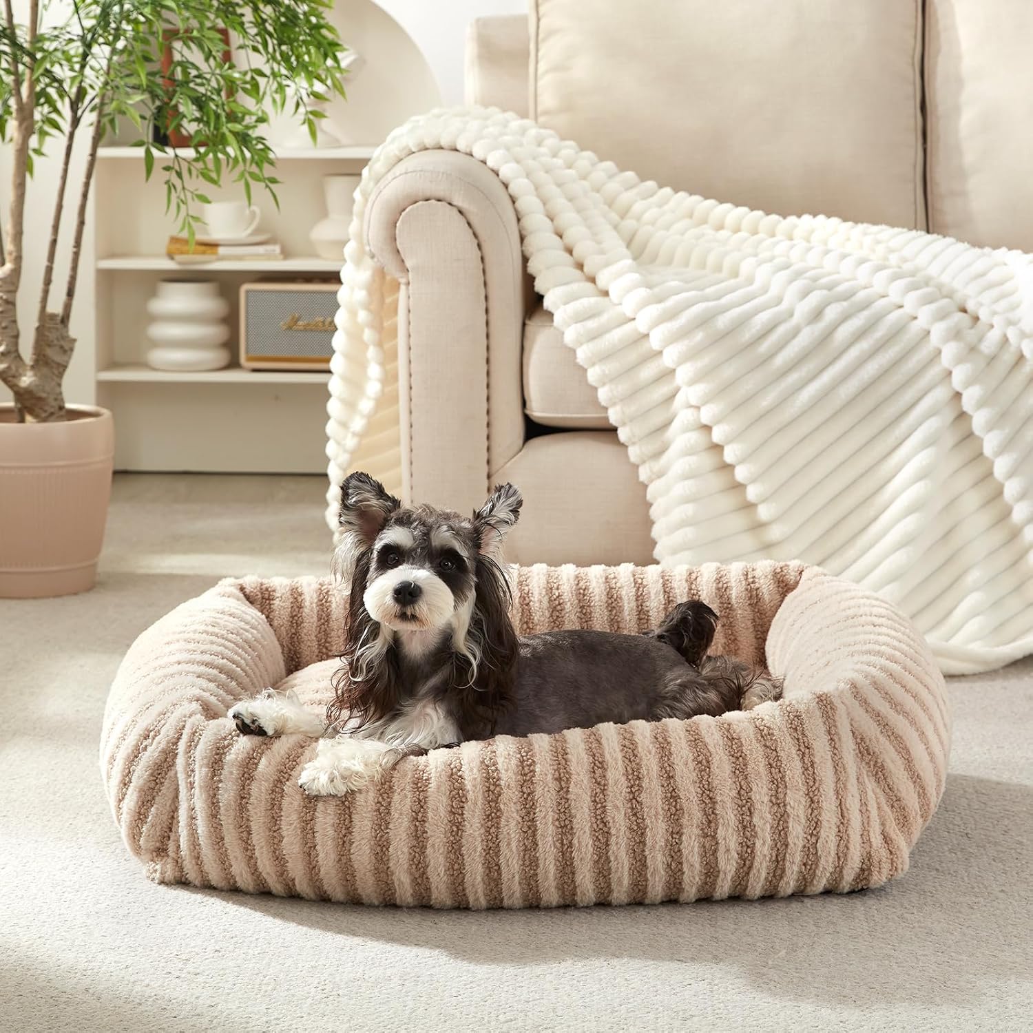 Washable Dog and Cat Bed — Removable Cover, Small
